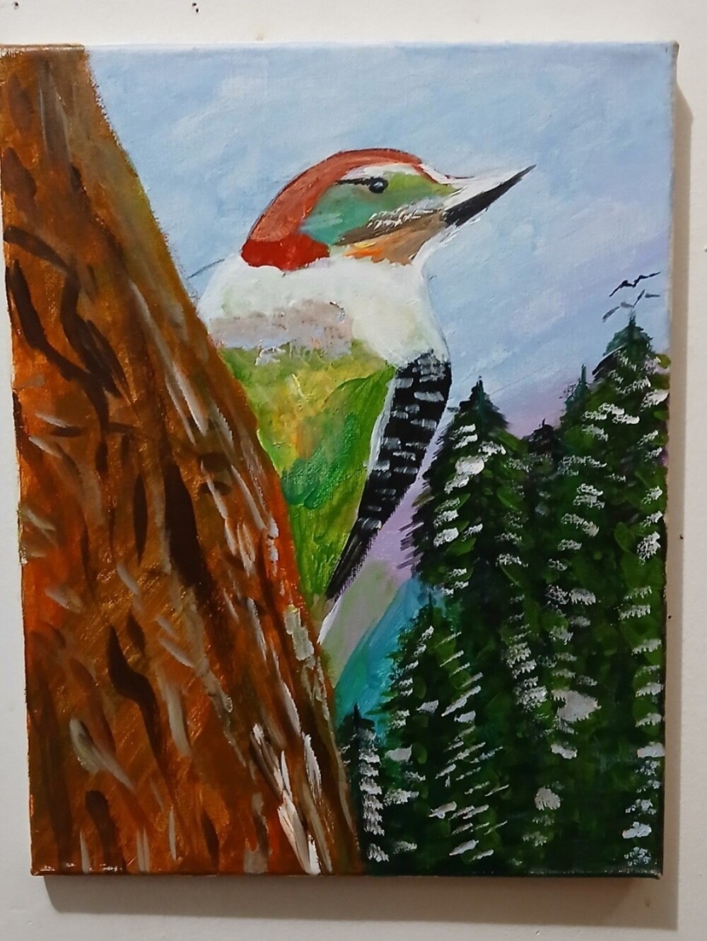 Colorful Woodpecker 11 × 14 Canvas Art Painting